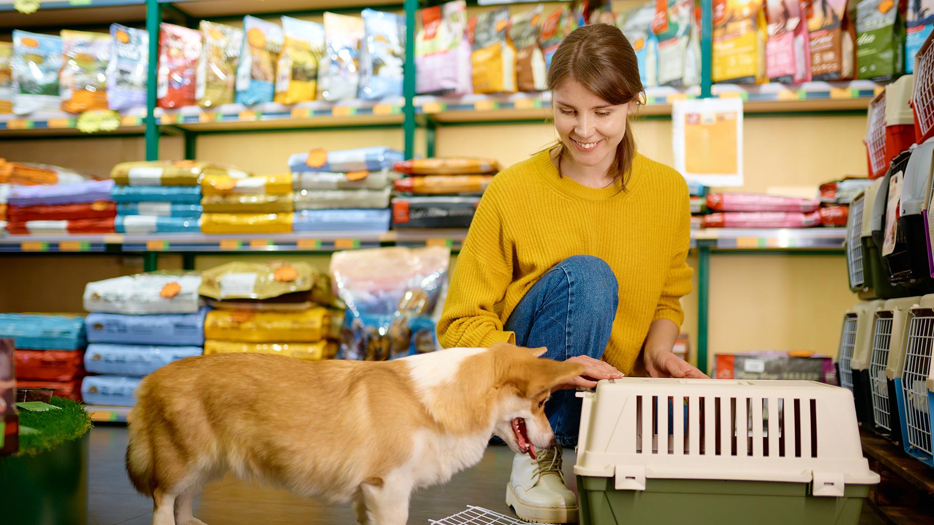 Petshop Tasarım ve Uygulamaları (1)