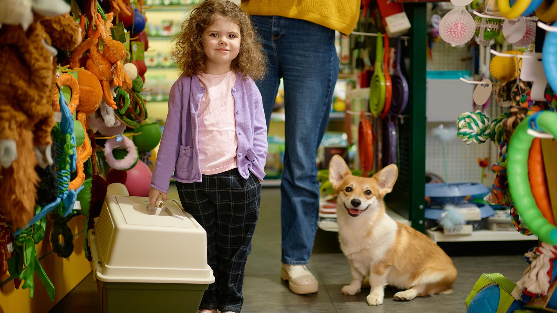 Petshop Tasarım ve Uygulamaları (10)