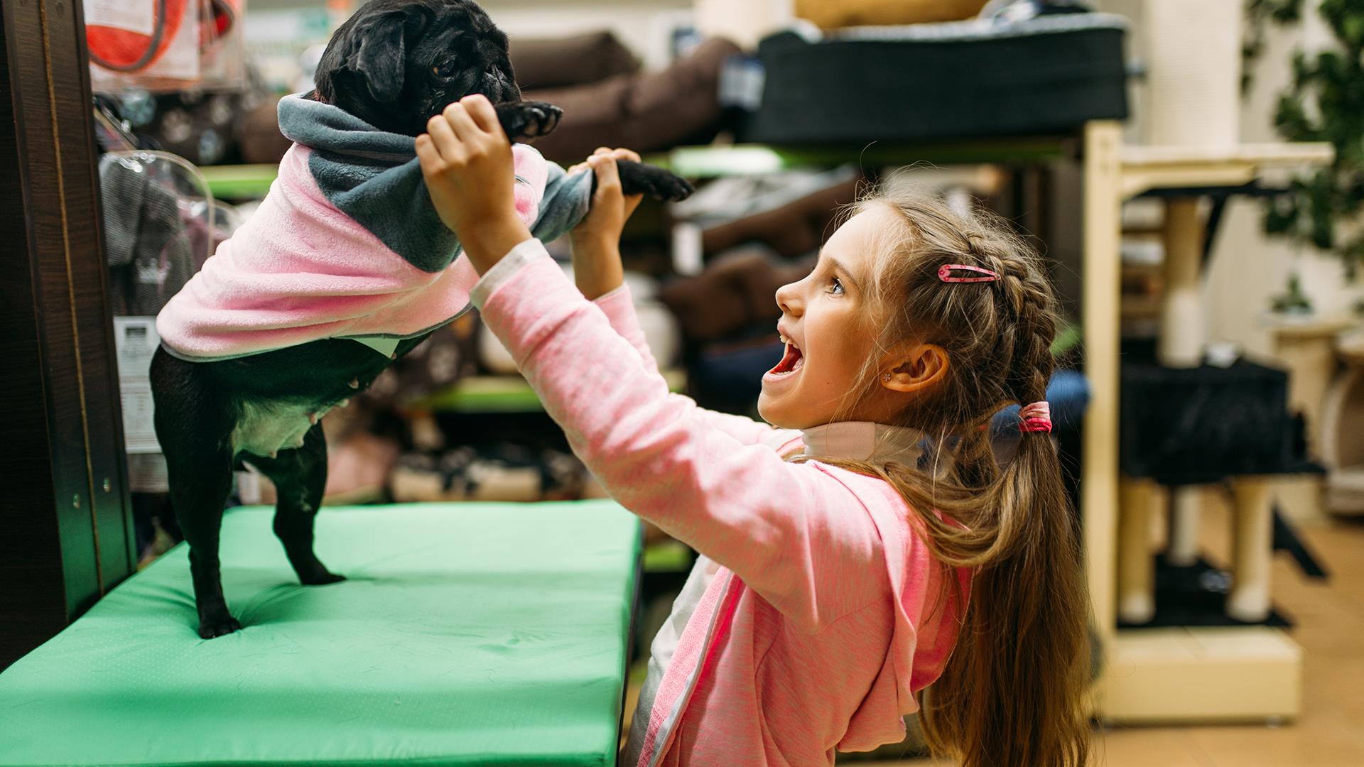 Petshop Tasarım ve Uygulamaları (11)