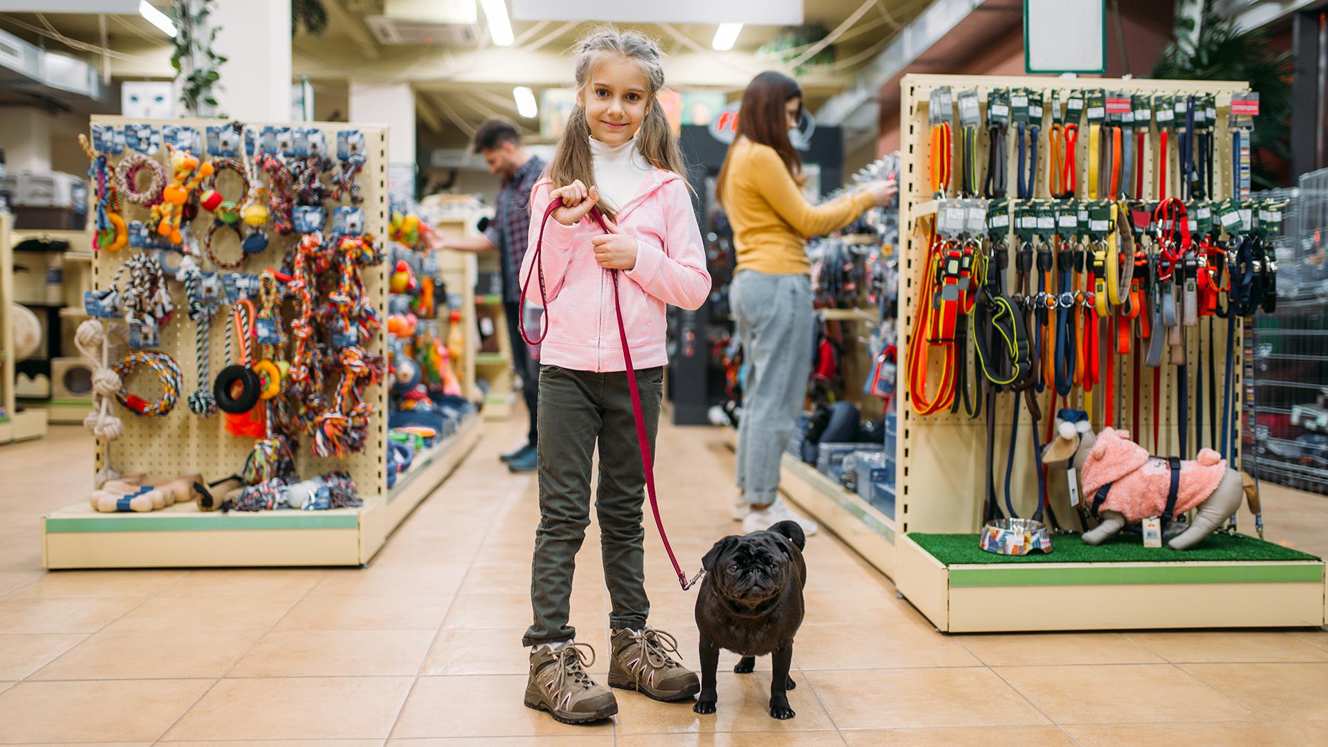 Petshop Tasarım ve Uygulamaları (12)