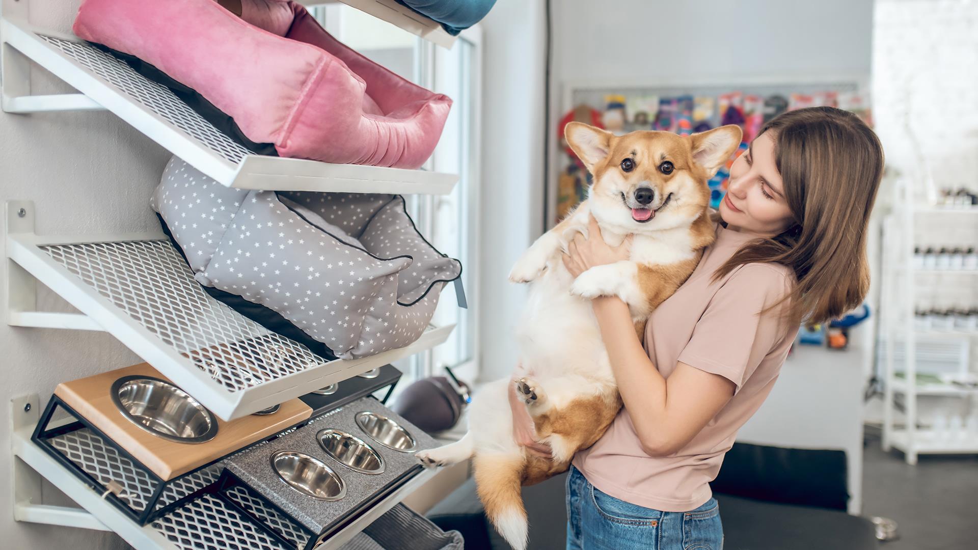 Petshop Tasarım ve Uygulamaları (15)