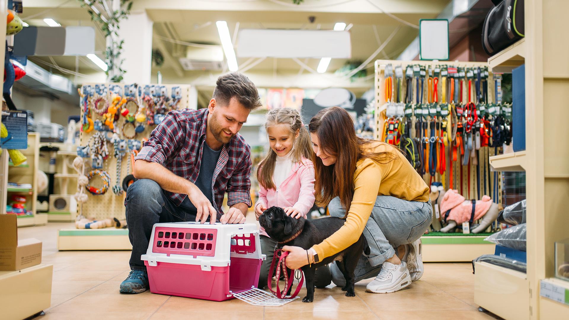 Petshop Tasarım ve Uygulamaları (3)