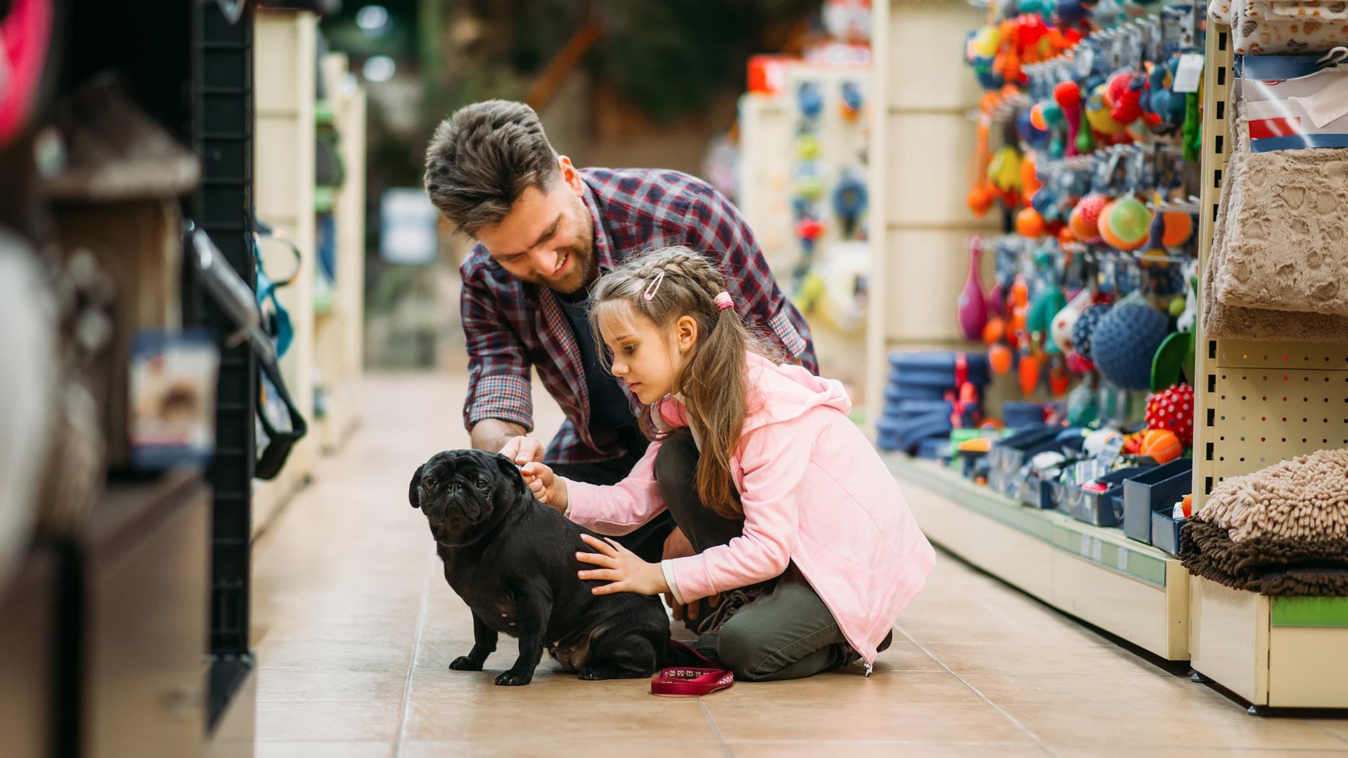Petshop Tasarım ve Uygulamaları (5)