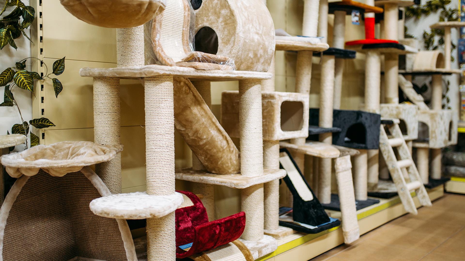 Petshop Tasarım ve Uygulamaları (7)