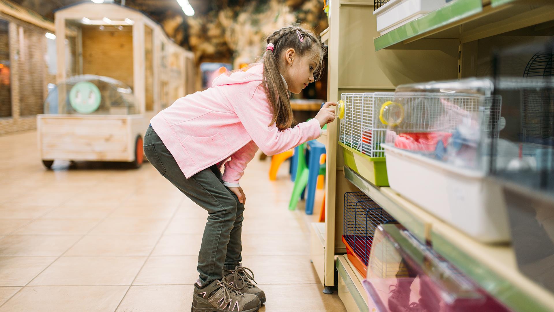 Petshop Tasarım ve Uygulamaları (9)